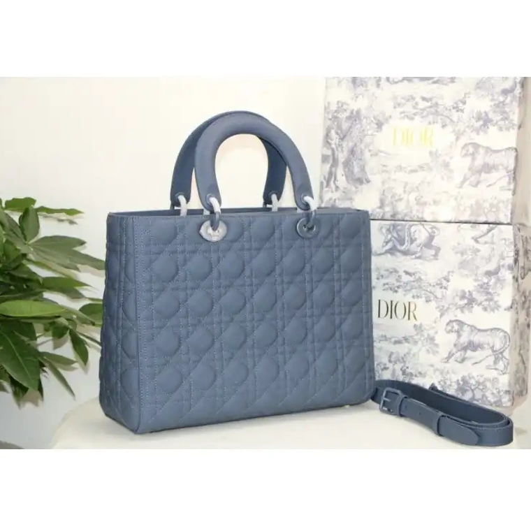 Fashion Reps Bags 2012SH0097 Dio 0504